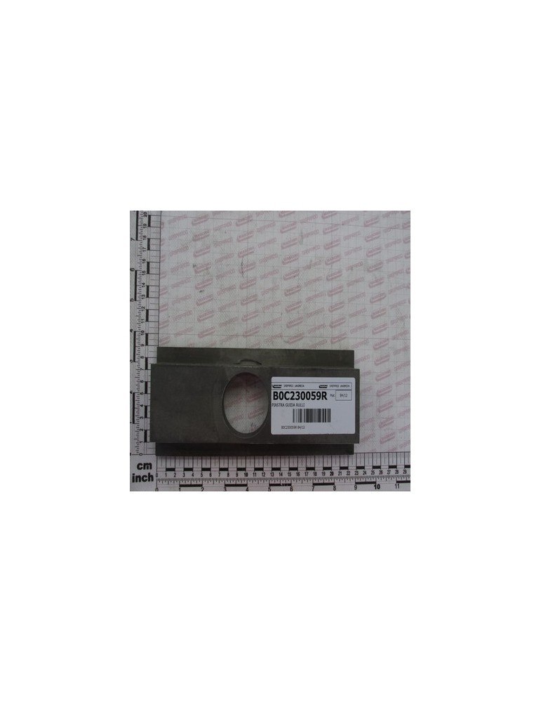 ROLLER GUIDE PLATE