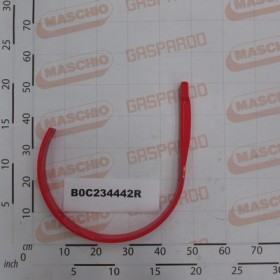 LATERAL BAND