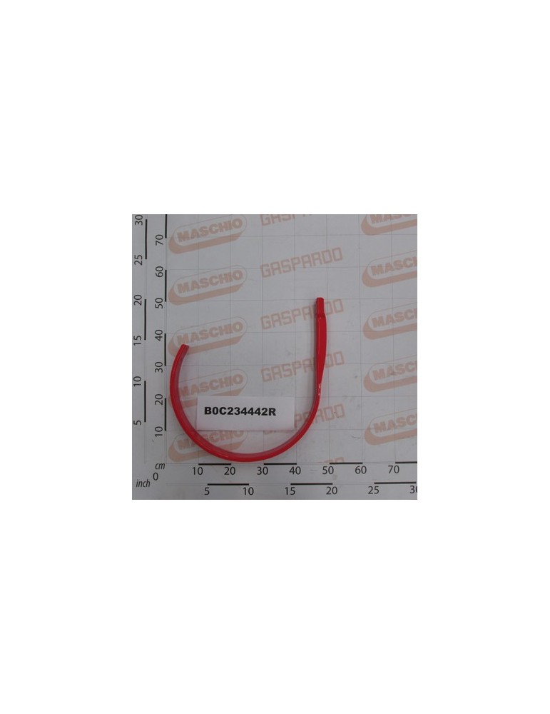 LATERAL BAND