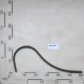 RAKE SHORT THOOTH