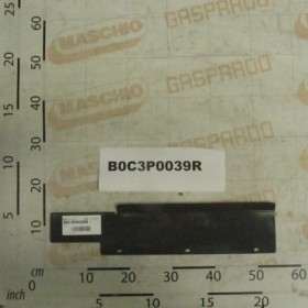 DOOR GUARD RIGHT SIDE