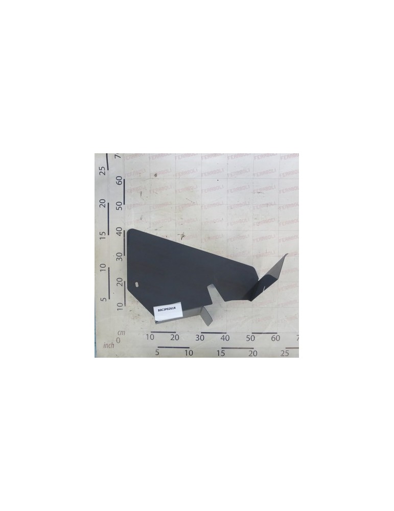 CARTER SAFETY PICK-UP