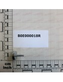 ROUND MAGNET Ã22 M5 L