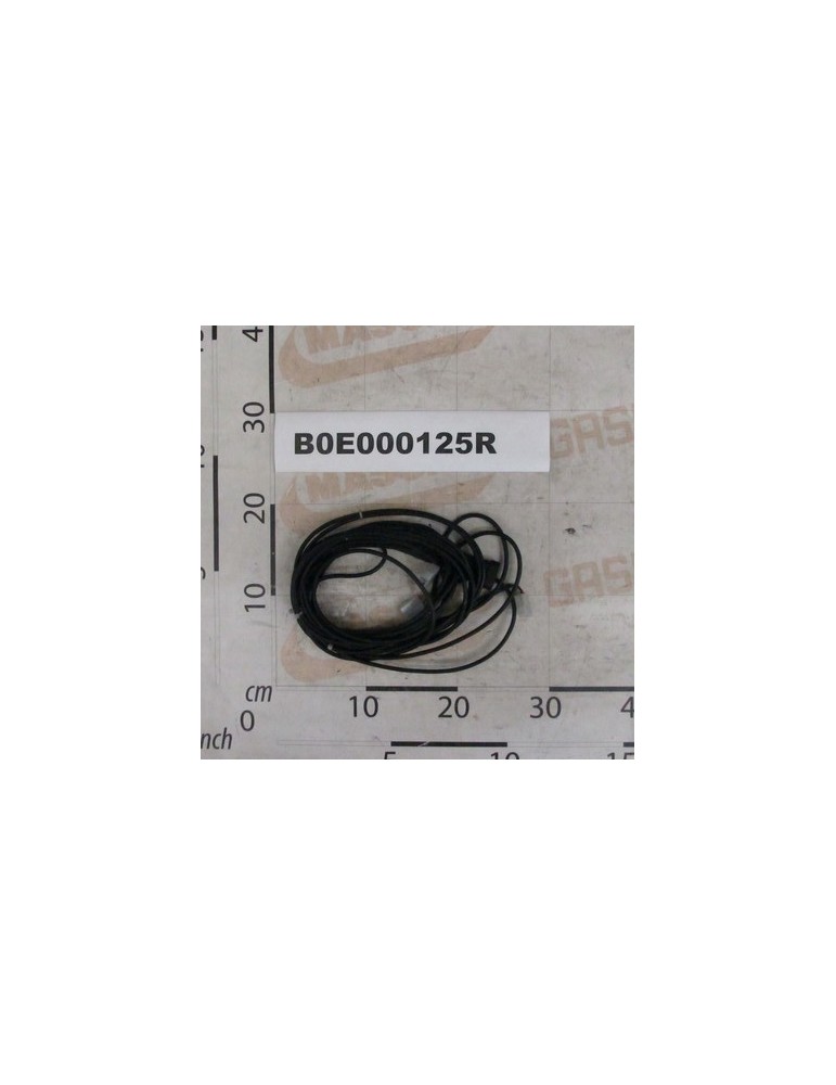 CABLE PER LUCI DI SEGNWINGZ
