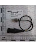SENSOR