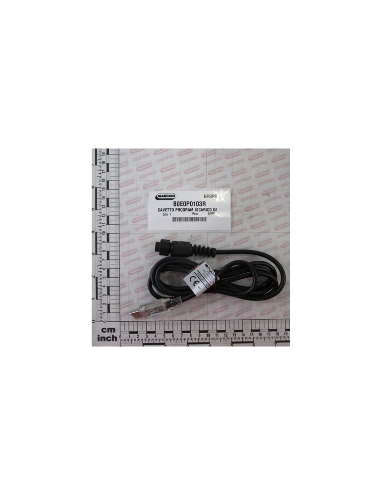 PROGRAM. CABLE / DATA DOWNLOAD