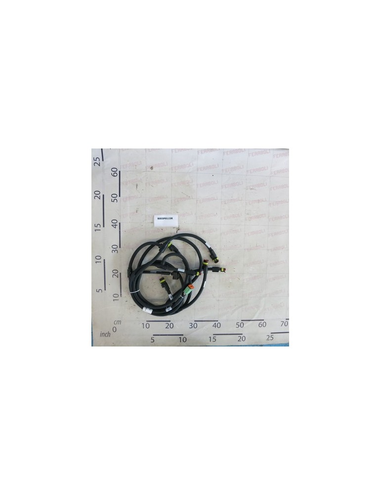 BUS SX + IN/OUT - TIPO 1     .