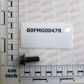 BOLT