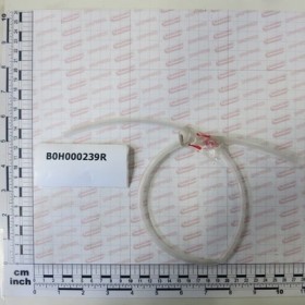 NYLON HOSE