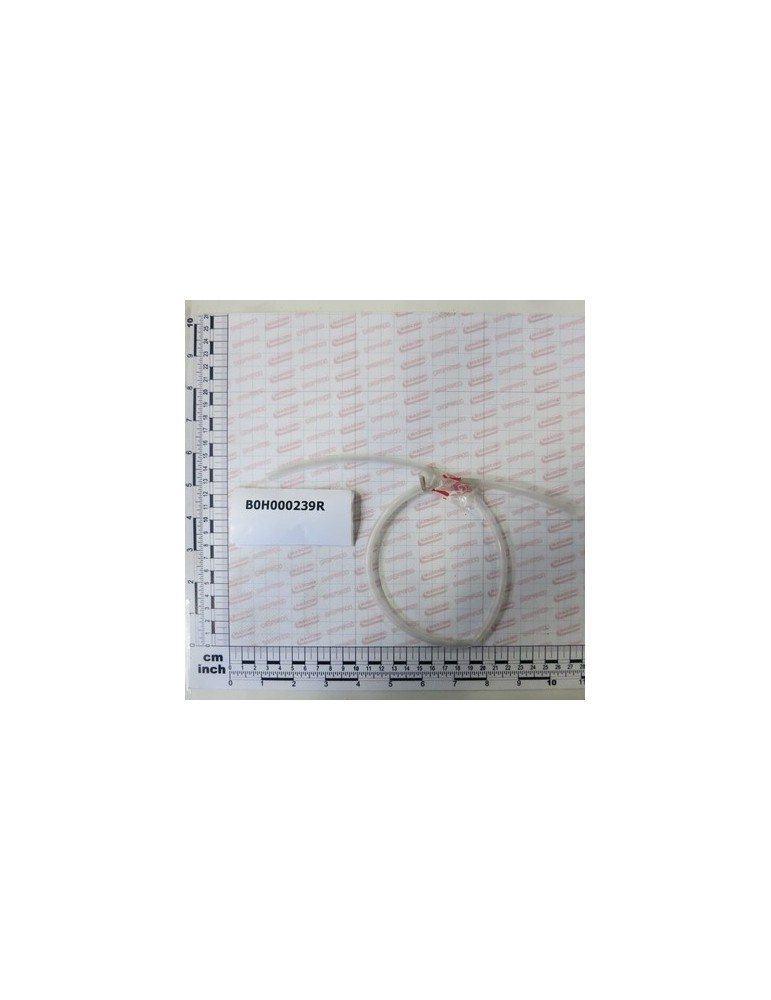 NYLON HOSE