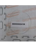 NYLON HOSE