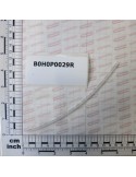 NYLON HOSE