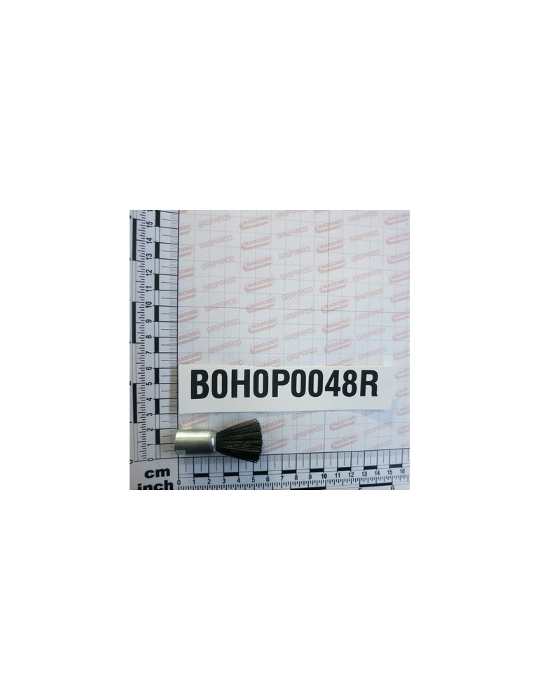 BRUSH M8X1 D.20 H.52
