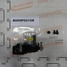 ELCTROPUMP MAX 12V DC 2
