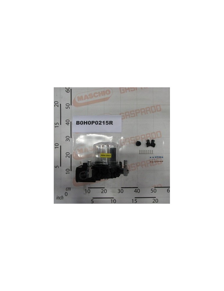 ELCTROPUMP MAX 12V DC 2