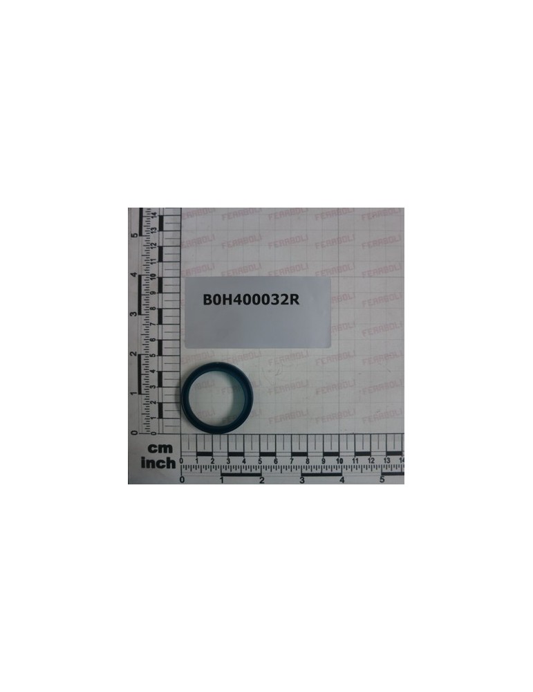 WRM 141173 SCRAPER RING