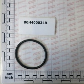 ANELLO TORICO OR 6287 (336 PO.