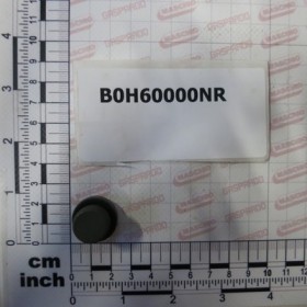 PLUG WITH SEAL 3/8\"
