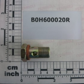 BOLT