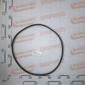BELT SPB1600