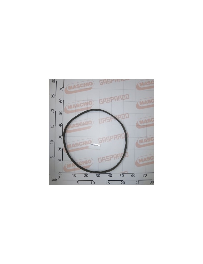 BELT SPB1600