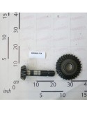 GEAR KIT