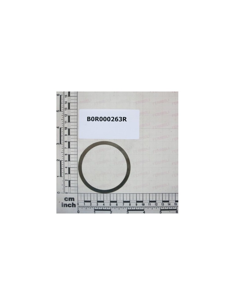 SHIM RING 69,3X79,7X0,3