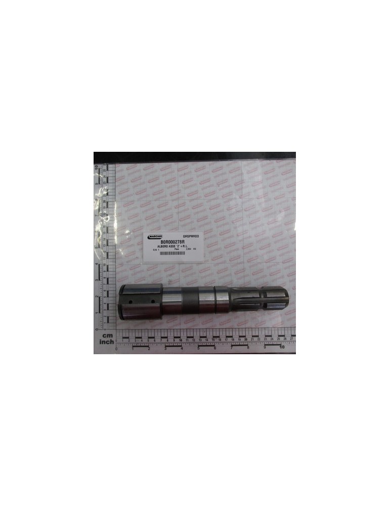 AXIS SHAFT