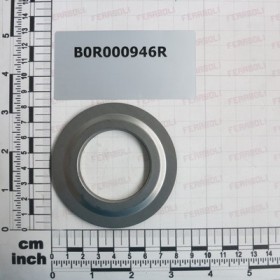 BEARING NILOS