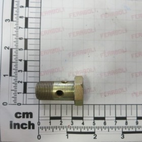 BOLT WITH DRILL HOLE 3/8