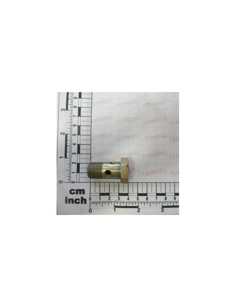 BOLT WITH DRILL HOLE 3/8