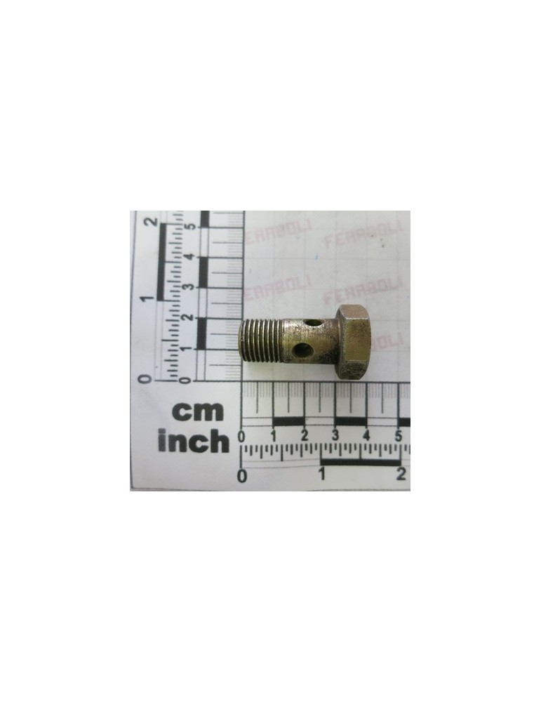 BOLT WITH DRILL HOLE 1/4\"