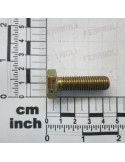 SCREW