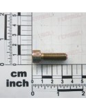 SCREW