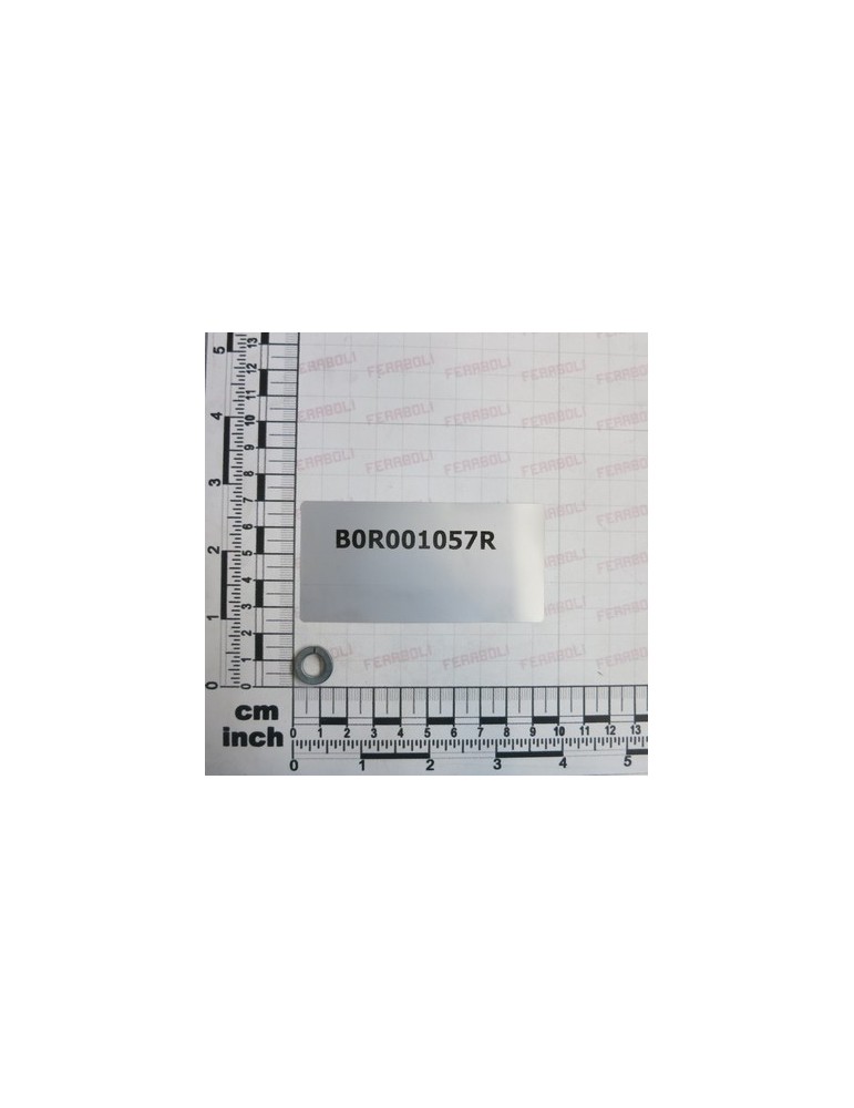 ROND.ELAST.Ã8,2X14,8X1,6 ZN D.