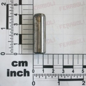 SPECIAL PIN 12X40