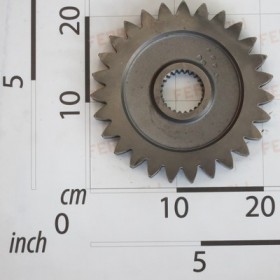 GEAR