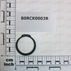 BOLT