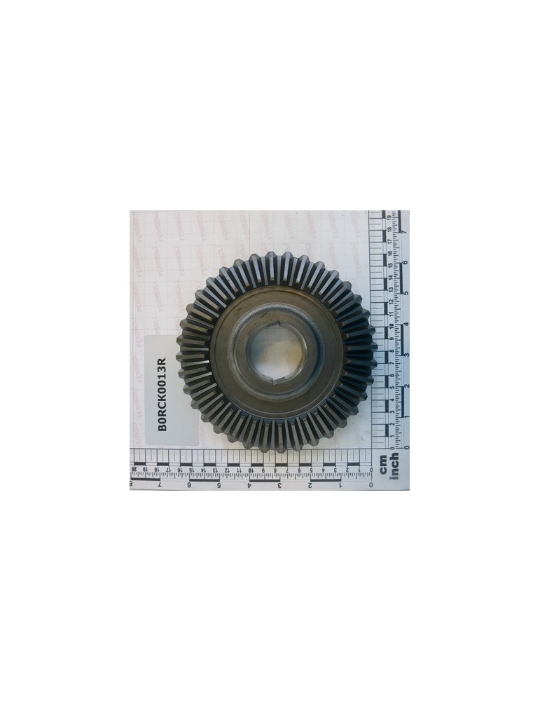 BOLT