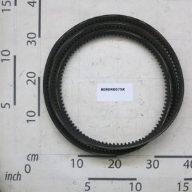 BELT DI TRASMISSIONE