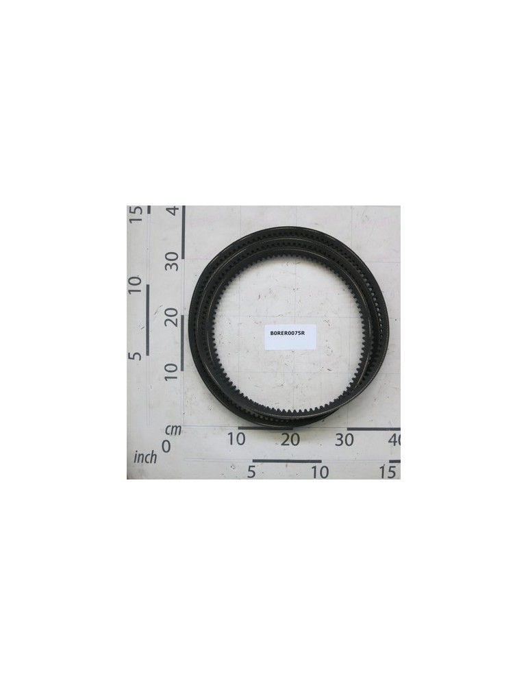 BELT DI TRASMISSIONE