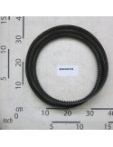 BELT DI TRASMISSIONE