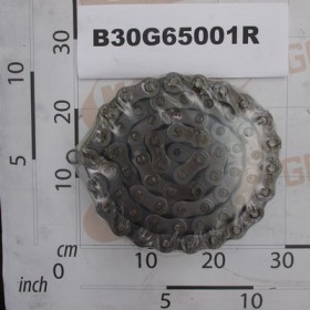 ROLLER CHAIN ISO 20 B-1 65M