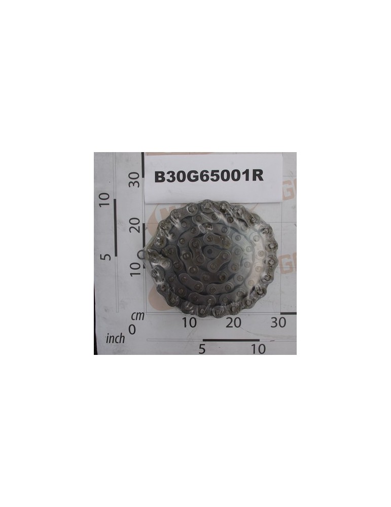 ROLLER CHAIN ISO 20 B-1 65M