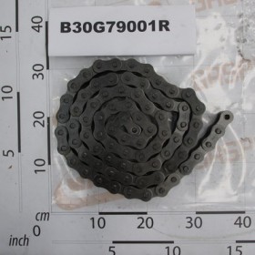 ROLLER CHAIN ISO 20 B-1 79M