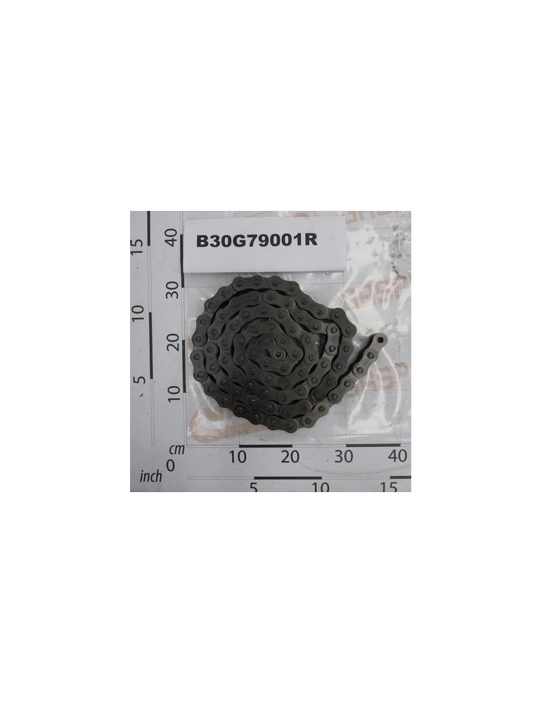 ROLLER CHAIN ISO 20 B-1 79M