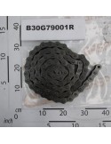 ROLLER CHAIN ISO 20 B-1 79M
