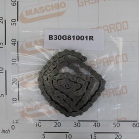 CHAIN ROLLERS ISO 20 B-1 81M
