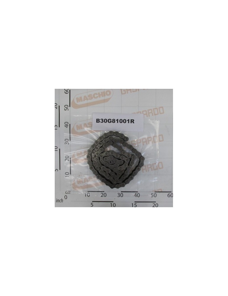 CHAIN ROLLERS ISO 20 B-1 81M