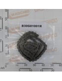 CHAIN ROLLERS ISO 20 B-1 81M